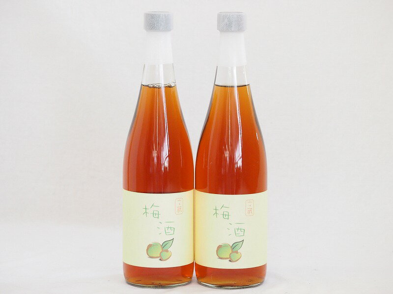 2本セット(梅酒文蔵18度(熊本県)) 720ml×2本