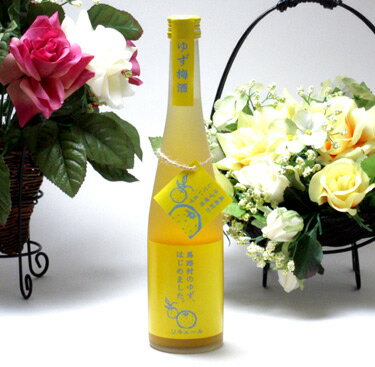 【送料無料6本セット】篠崎　高知県の馬路村のゆず果汁を贅沢使用　ゆず梅酒はじめました。　500ml×6本