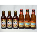 【最大2000円オフクーポン16日1:59迄】クラフトビールパーティ6本セット 金しゃちアルト330ml×3本 ハワイコナビールロングボードアイランドラガー355ml×3本