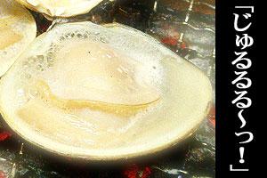 ڸ۹ϥޥꤸáȤȤọ̇̄ǤȤäƤ⤪...