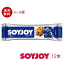 〔食品〕★送料無料★メール便発送商品 ソイジョイ ブルーベリ...