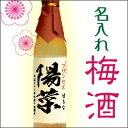 梅酒 500ml【あす楽】