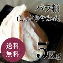 【全国送料無料】しっとりやわめの純米吟醸酒粕をお求