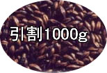 å塡 1000g̤