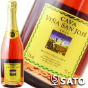 ビニャ・サン・ホセ ブルット カバ ロゼ 750ml