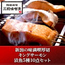 キングサーモン厚切 5種10点セット