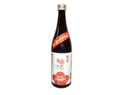 玉出泉梅酒