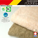 【正規販売店】BREEZE BRONZE(ブリーズブロンズ) 急速分解消臭 バスタオル(60×120cm) 日本製【送料無料・メール便・代引き不可】ギフト ホテル 臭い 臭わないタオル 今治 高級タオル タフネス