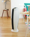 空気清浄機 フィルターレス イオニックブリーズ Ionic Breeze GRANDE ノンフィルター 集塵 静音 静か 花粉 ウイルス 対策 ホコリ 部屋 消臭 ER (WEB限定) TS