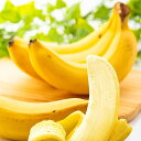 [送料無料][あす楽] 有機 無農薬 安全オーガニック バナナ 約2kg ※フルーツマイスターが選別