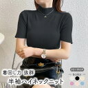 2021 春物新作 スプリングニット ハイネック ベーシック 半袖 ニット 柔らか リブ のびのび モックネック インナー 無地 シンプル 伸縮性 トップス 通勤 通学 春 夏 秋 黒 白 ブラック ホワイト ベージュ パープル ピンク ブルー サックス