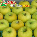 【予約受付】 りんご きおう 特選 中玉 青森県産 ギフト 贈答用 10kg 送料別 まとめ買い