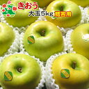 【予約受付】 りんご きおう 特選 大玉 青森県産 ギフト 贈答用 5kg 送料別 まとめ買い