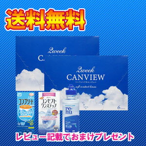 【レビューを書くと120ml×1本プレゼント】【送料無料】2ウィークキャンビュー2箱セット/2週間使い捨てコンタクトレンズ/シンシア