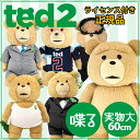 ebh ʂ ted2 60cm 24C`  f Ted ̂܂܂ɂׂ܂I ^Ngbv Rw N[ _Co[ jtH[ ^LV[h X[c ted ObY RX`[