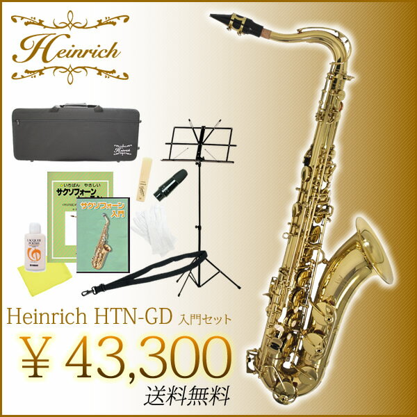 Heinrich テナーサックス HTN-GD 入門セット【ヘインリッチ 管楽器】