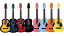 【豪華特典付き！】Sepia Crue ミニアコースティックギター W-10 8点入門セット【譜面台&教則DVD付き！】【1万円以上お買い物で送料無料】【セピアクルー アコギ初心者】