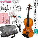 子供用分数バイオリン Hallstatt V-28 1/2サ...