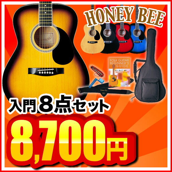 アコースティックギター HONEY BEE F-15 8点入門セット【1万円以上お買い物で送料無料】【アコギ 初心者】【レビューを書いてDVDプレゼント！】【特典付き！】