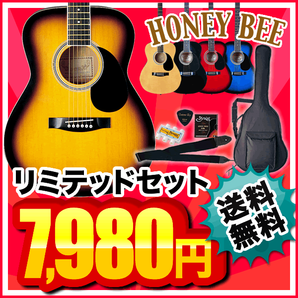 HoneyBee アコースティックギター F-15 アコギリミテッドセット【アコギ 初心者】【レビューを書いてDVDプレゼント！】