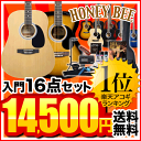 アコースティックギター HONEY BEE W-15/F-15 16点入門セット