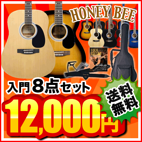 アコースティックギター HONEY BEE W-15/F-15 8点初心者セット【今だけ教…...:sakuragk:10018451