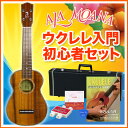 【特典付き！】ウクレレ AlaMoana (アラモアナ) UK-2800 6点入門セット