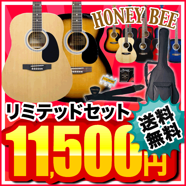 HoneyBee アコースティックギター W-15/F-15 アコギリミテッドセット