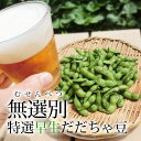 【送料無料】 訳あり 無選別 早生 特選だだちゃ豆 1kg 8月上旬~中旬お届け ( 清川屋のダダチャ豆 茶豆 枝豆 )