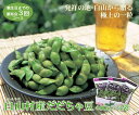 白山だだちゃ豆頒布会3回コース(各回400g×3袋) 【朝採り枝豆を産地直送 山形県鶴岡市白山産茶豆 ギフトにも】