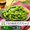 白山村産 だだちゃ豆 400g×3袋 <本豆> 8月下旬お届け ( 発祥の地のブランド 枝豆 清川屋のダダチャ豆 白山だだちゃ豆 茶豆 )
