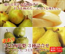 【送料無料】訳あり大玉西洋梨3種詰め合わせ?ラ・フランス、コミス、バラード?【山形県産地直送洋梨】