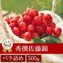 秀撰佐藤錦　バラ詰め500g　【山形県産さくらんぼを産地直送...