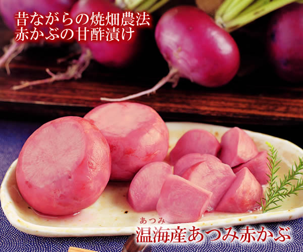 本場温海産あつみ赤かぶ260g　【山形県産　赤かぶ　季節の漬...