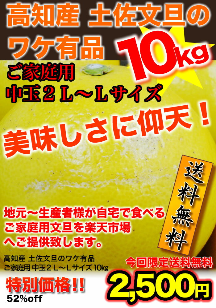 【送料無料】 高知産 土佐文旦のワケ有品 ご家庭用 中玉2L〜Lサイズ10kg出荷時期をよ