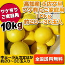  高知産 土佐文旦 ワケ有りご家庭用約10kg 25〜35玉入ぶんたんブンタン訳あり2月上旬頃より発送分