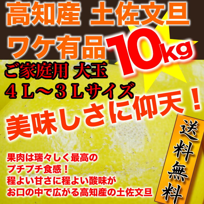 人気ナンバー1！楽天最安値に挑戦中！【全国送料無料】 高知産 土佐文旦のワケ有品 ご家庭用大玉4L03Lサイズ10kgぶんたん【2月下旬頃より発送開始！】【smtb-KD】訳あり