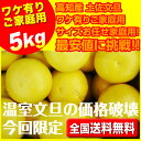 【送料無料】ハウス文旦5キロ入 サイズお任せ家庭用!温室文旦 最安値に挑戦!高級温室ブンタン 高知産 ぶんたん 沖縄県と離島は、別途1000円配送料がかかります。
