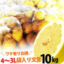 【送料無料】高知産 土佐文旦 袋入り 大玉限定4〜3Lサイズ 約10kg 訳あり品3月下旬頃