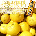 【送料無料】 キングofワケ有!訳ありチ...