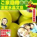 ご家庭用 温室水晶文旦 約5kg入訳ありハウスブンタン ！高知産 早生ぶんたん沖縄県と離島は配送不可！北海道へお届けの商品は1個あたり380円の送料が加算されます！