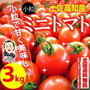 【送料無料】 プチトマト約3kg高知のミニトマト沖縄県と離島は配送不可!北海道へお届けの商品は1個あたり380円の送料が加算されます!