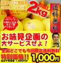 1,000円ポッキリ！送料無料で小夏約2kg入り ワケ有ご家庭用品 ニューサマー：日向夏！高知土佐小夏！お試し！3箱購入のかたは1箱サービス♪約8kgを1箱にまとめてお届け♪