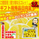 小夏:約2.5kg♪ ギフト用秀品日向夏・ニューサ