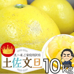 大玉4L〜3Lサイズ約<strong>10kg</strong>文旦！【<strong>送料無料</strong>】 高知産 土佐文旦の<strong>訳あり</strong> ご家庭用 ぶんたん2月上中旬頃より発送予定沖縄本土と北海道は別途送料 全国の離島は発送不可