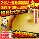 送料無料!高知の新高梨 4kg訳ありご家庭用玉数4〜8玉入沖縄県と離島は配送不可!北海道へお届けの商品は1個あたり380円の送料が加算されます!
