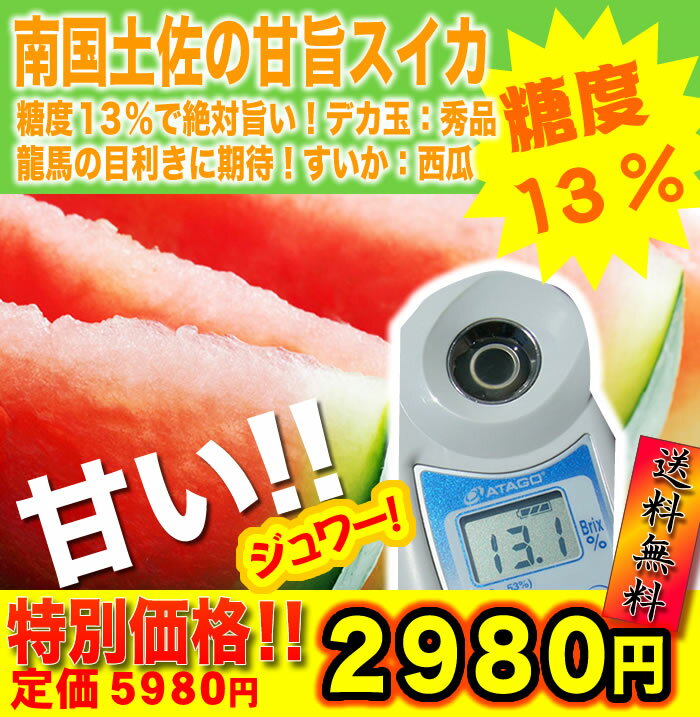 【全国送料無料】南国土佐の甘旨スイカ！糖度13％で絶対旨い！デカ玉：秀品龍馬の目利きに期待！すいか：西瓜すいか大好きさんのギフトお中元にも！7月上旬頃〜発送です。