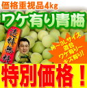 【送料無料】ワケ有り青梅!サイズお任せ4kg入り! 【クール冷蔵便にて発送】【高知県産】 6月上旬頃より発送予定!売れ筋沖縄県と北海道と離島は、別途1000円配送料がかかります。