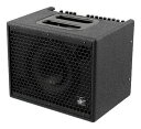 Udo Roesner Amps Da Capo 75 アコースティック楽器用 コンボアンプ【ポイント5倍】【送料無料】【smtb-TK】
