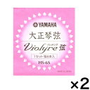 【ポイント2倍】【メール便発送・全国送料無料・代金引換不可】ヤマハ YAMAHA HS-6S×2セット 大正琴弦・ヴィオリラ共通弦セット×2 HS6S【smtb-TK】
